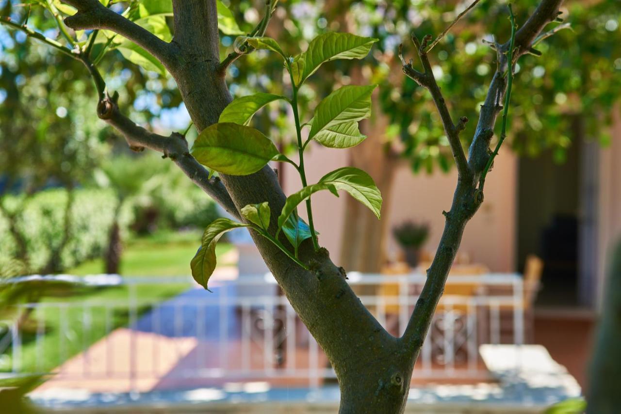 Villa Moma Palio Gerani Buitenkant foto